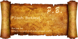 Pisch Botond névjegykártya